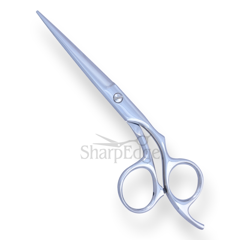 Professional Hair Dressing Scissors 
